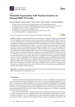 Vimentin Association with Nuclear Grooves in Normal MEF 3T3 Cells