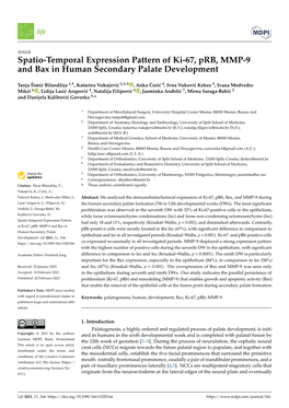 Spatio-Temporal Expression Pattern of Ki-67, Prb, MMP-9 and Bax in Human Secondary Palate Development