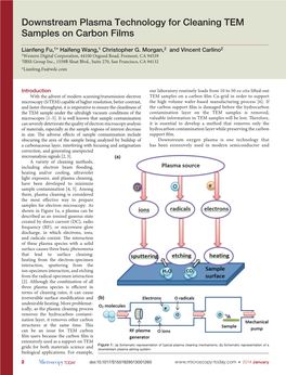 Downstream Plasma Technology for Cleaning TEM Samples on Carbon Films