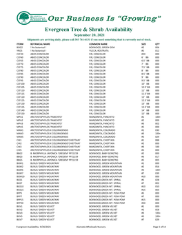 Evergreen Trees and Shrubs.Pdf