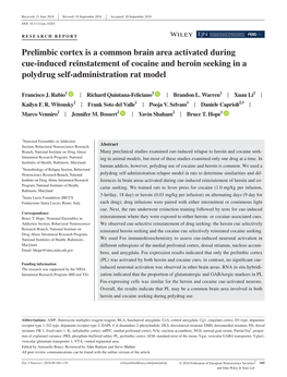 Prelimbic Cortex Is a Common Brain Area Activated During Cue&#X2010;Induced Reinstatement of Cocaine and Heroin Seeking in A