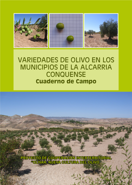 VARIEDADES DE OLIVO EN LOS MUNICIPIOS DE LA ALCARRIA CONQUENSE Cuaderno De Campo