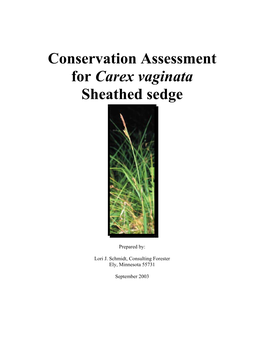 Conservation Assessment for Carex Vaginata Sheathed Sedge