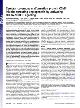 Cerebral Cavernous Malformation Protein CCM1 Inhibits Sprouting Angiogenesis by Activating DELTA-NOTCH Signaling