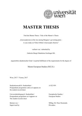 Master Thesis