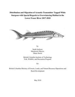 Distribution and Migration of Acoustic-Transmitter Tagged White Sturgeon with Special Regards to Overwintering Habitat in the Lower Fraser River 2017-2018