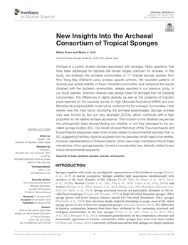 New Insights Into the Archaeal Consortium of Tropical Sponges