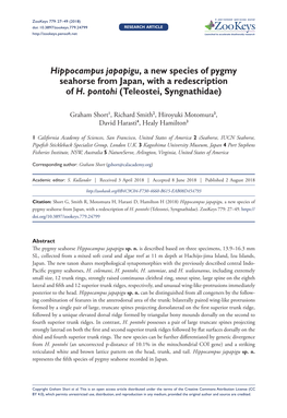 ﻿Hippocampus Japapigu, a New Species of Pygmy Seahorse From