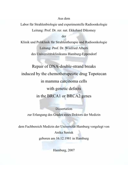 Repair of DNA-Double-Strand Breaks Induced by the Chemotherapeutic Drug Topotecan in Mamma Carcinoma Cells with Genetic Defects in the BRCA1 Or BRCA2 Genes