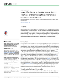 Lateral Inhibition in the Vertebrate Retina: the Case of the Missing Neurotransmitter