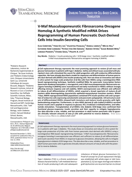 V-Maf Musculoaponeurotic Fibrosarcoma Oncogene Homolog