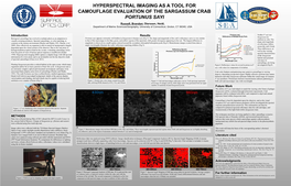 Sargassum Crab Portunus Sayi