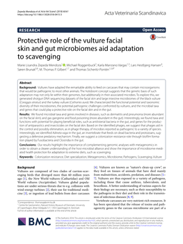 Protective Role of the Vulture Facial Skin and Gut Microbiomes Aid Adaptation to Scavenging
