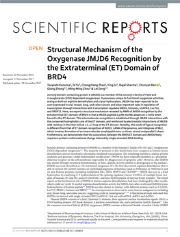 Structural Mechanism of the Oxygenase JMJD6 Recognition By