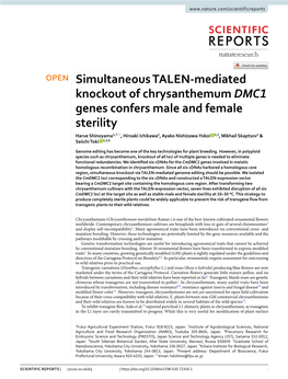 Simultaneous TALEN-Mediated Knockout of Chrysanthemum DMC1 Genes Confers Male and Female Sterility