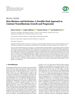 Beta-Blockers and Berberine: a Possible Dual Approach to Contrast Neuroblastoma Growth and Progression