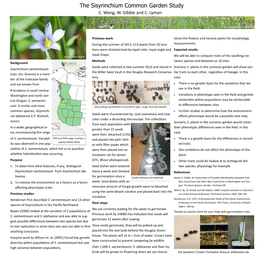 The Sisyrinchium Common Garden Study C