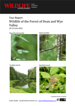 Wildlife of the Forest of Dean and Wye Valley 10-13 June 2021