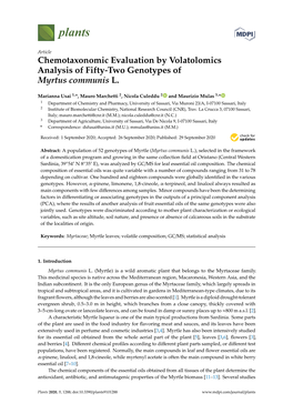 Chemotaxonomic Evaluation by Volatolomics Analysis of Fifty-Two Genotypes of Myrtus Communis L