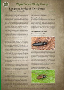 Longhorn Beetles of the Wyre Forest