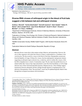 Diverse RNA Viruses of Arthropod Origin in the Blood of Fruit Bats Suggest a Link Between Bat and Arthropod Viromes