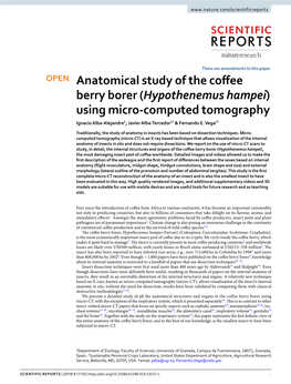 Anatomical Study of the Coffee Berry Borer (Hypothenemus Hampei)