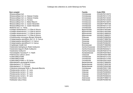 Catalogue Des Collections Du Jardin Botanique De Paris Nom Complet Famille Code IPEN ×Brassocattleya Hort. Orchidaceae XX0JBVP2