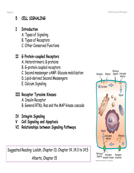 Cell Signaling