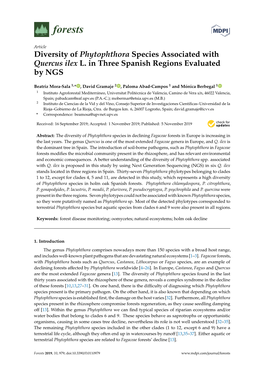 Diversity of Phytophthora Species Associated with Quercus Ilex L. in Three Spanish Regions Evaluated by NGS