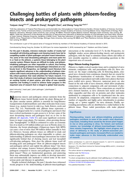 Challenging Battles of Plants with Phloem-Feeding Insects and Prokaryotic Pathogens