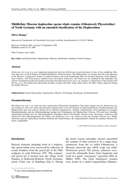 Middle/Late Miocene Hoplocetine Sperm Whale Remains (Odontoceti: Physeteridae) of North Germany with an Emended Classification of the Hoplocetinae