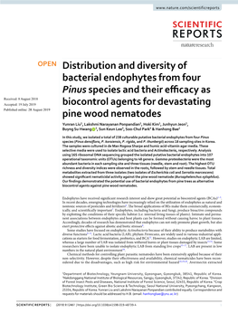 Distribution and Diversity of Bacterial Endophytes from Four Pinus Species