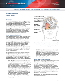Meningiomas Basic Level