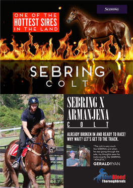 SEBRING X ARMANJENA All Rights Reserved