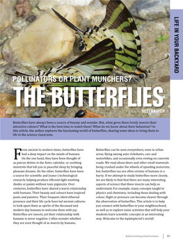 Pollinators Or Plant Munchers? the Butterflies Geetha Iyer