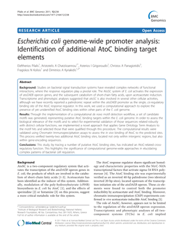 Escherichia Coli Genome-Wide Promoter Analysis