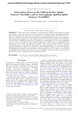 Interactions Between the Chilean Recluse Spider (Araneae: Sicariidae) and an Araneophagic Spitting Spider (Araneae: Scytodidae)