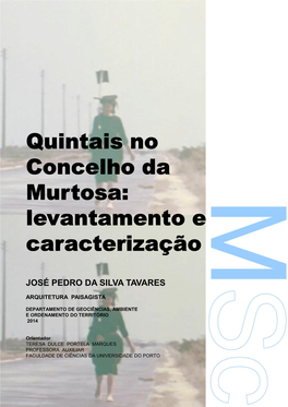 Quintais No Concelho Da Murtosa: Levantamento E Caracterização