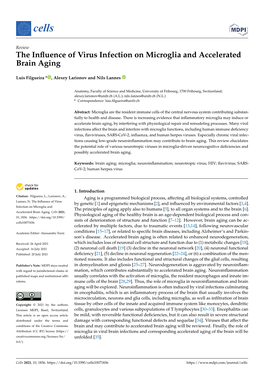 The Influence of Virus Infection on Microglia and Accelerated Brain