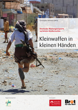 Studie Kleinwaffen in Kleinen Händen