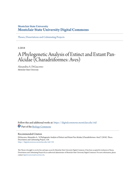 A Phylogenetic Analysis of Extinct and Extant Pan-Alcidae (Charadriiformes: Aves)