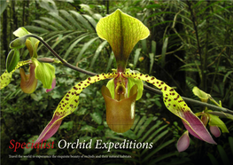 Specialist Orchid Expeditions Travel the World to Experience the Exquisite Beauty of Orchids and Their Natural Habitats