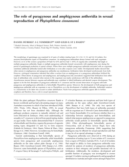 The Role of Paragynous and Amphigynous Antheridia in Sexual Reproduction of Phytophthora Cinnamomi