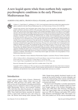 A New Kogiid Sperm Whale from Northern Italy Supports Psychrospheric Conditions in the Early Pliocene Mediterranean Sea