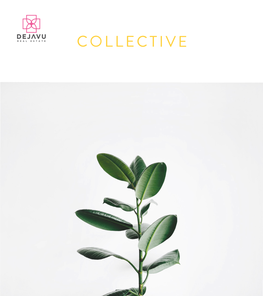 DHE COLLECTIVE BROCHURE.Pdf