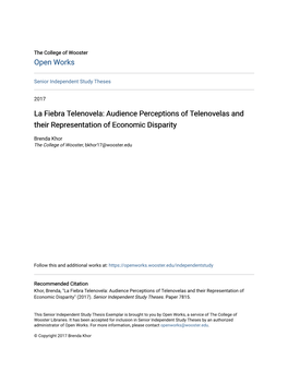 Audience Perceptions of Telenovelas and Their Representation of Economic Disparity