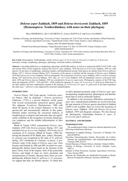 Dolerus Asper Zaddach, 1859 and Dolerus Brevicornis Zaddach, 1859 (Hymenoptera: Tenthredinidae), with Notes on Their Phylogeny