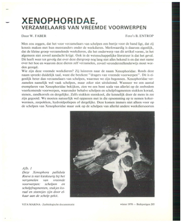 Xenophoridae, Verzamelaars Van Vreemde Voorwerpen