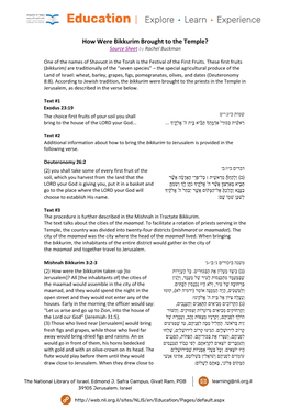 How Were Bikkurim Brought to the Temple? Source Sheet by Rachel Buckman