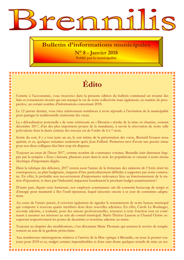 Bulletin Municipal N 8 Janvier 2018